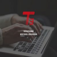 T3 财务软件经典版