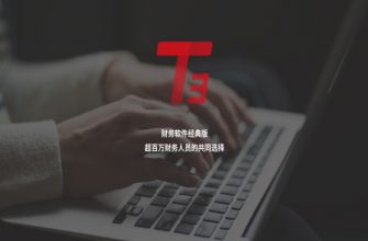 T3 财务软件经典版